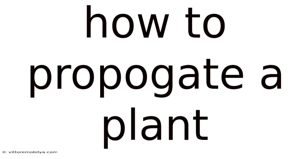 How To Propogate A Plant