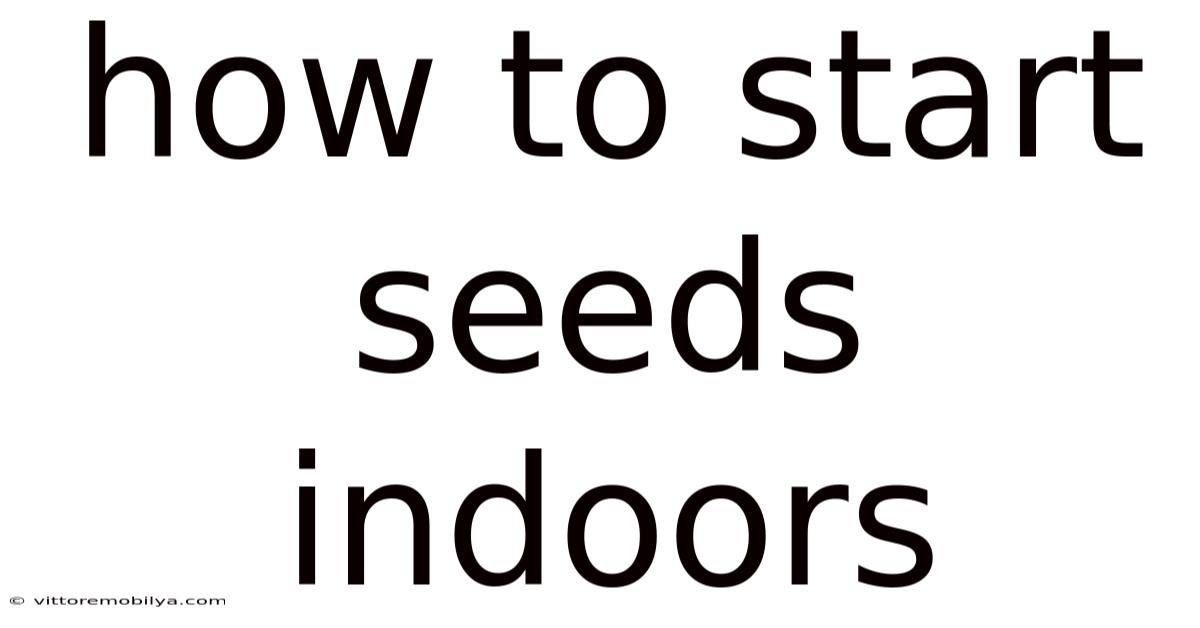 How To Start Seeds Indoors