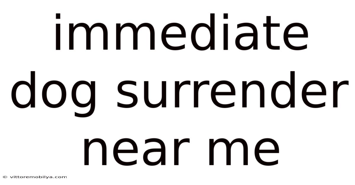 Immediate Dog Surrender Near Me