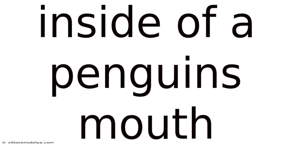 Inside Of A Penguins Mouth