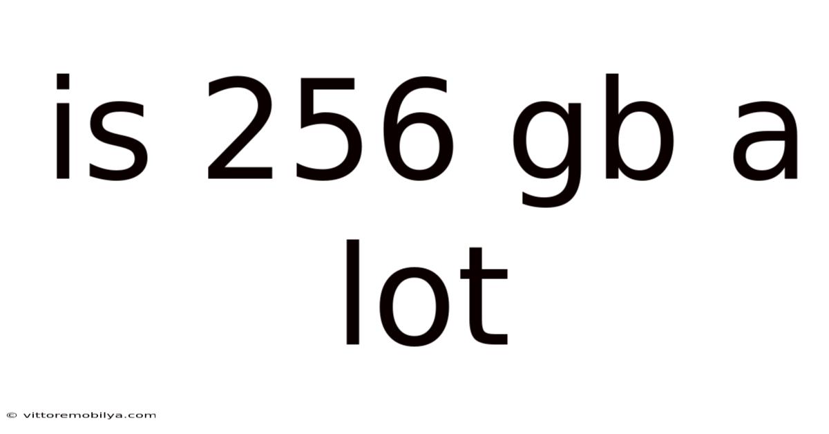 Is 256 Gb A Lot
