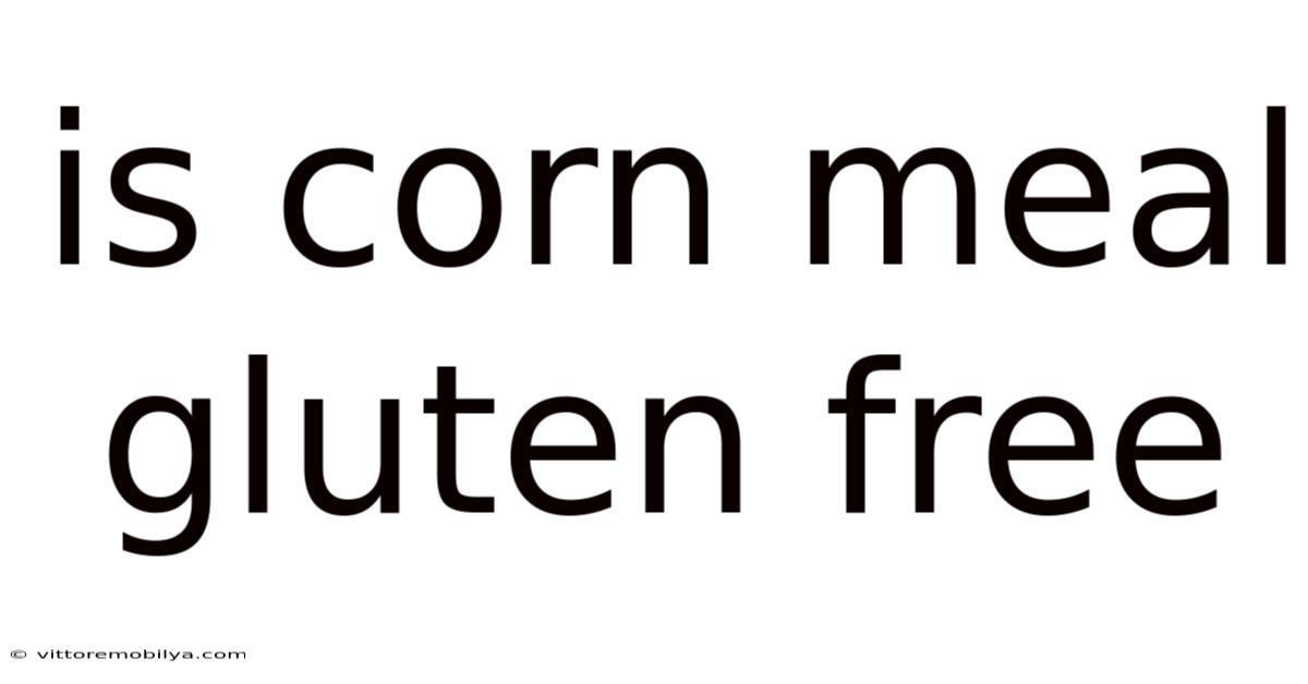 Is Corn Meal Gluten Free