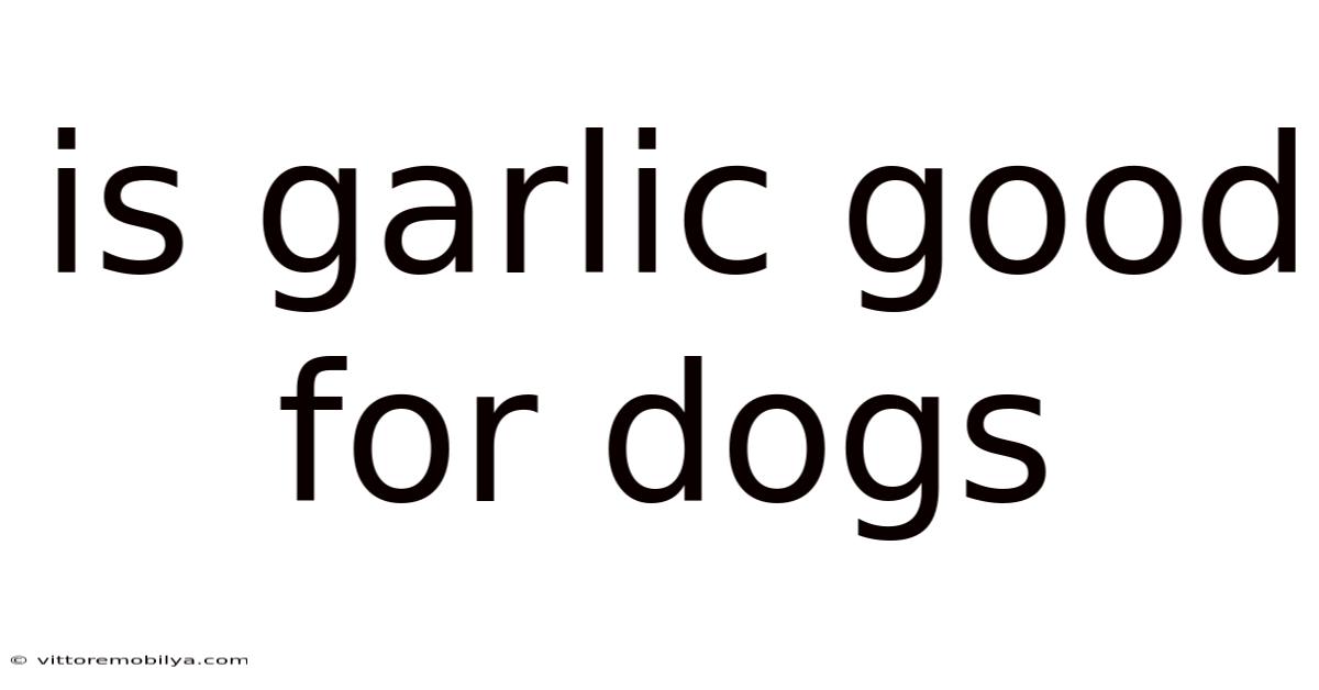 Is Garlic Good For Dogs