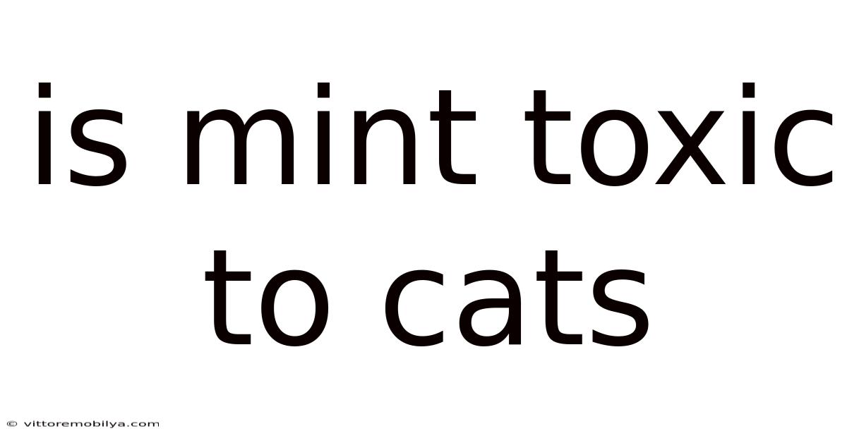Is Mint Toxic To Cats