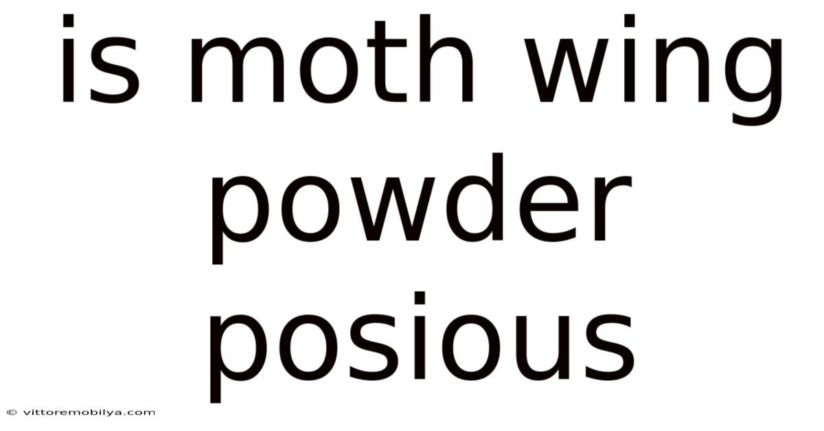 Is Moth Wing Powder Posious