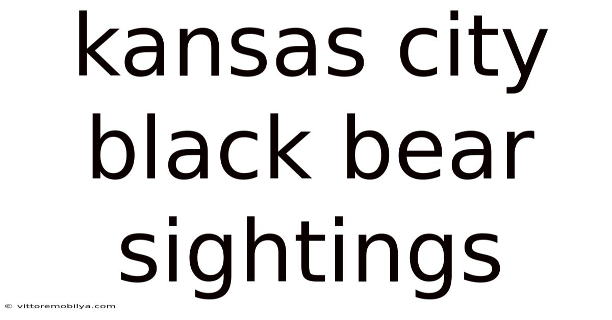 Kansas City Black Bear Sightings
