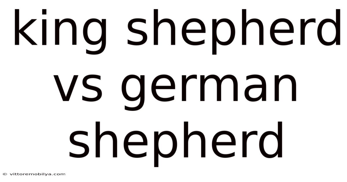 King Shepherd Vs German Shepherd