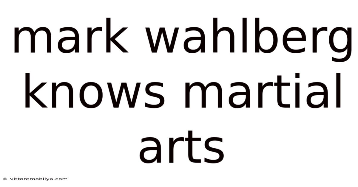 Mark Wahlberg Knows Martial Arts