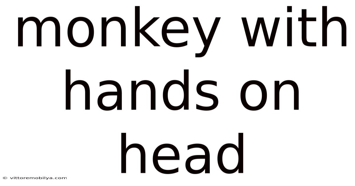 Monkey With Hands On Head