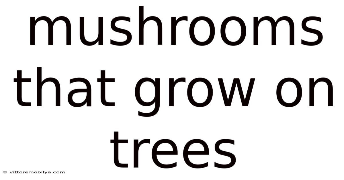 Mushrooms That Grow On Trees