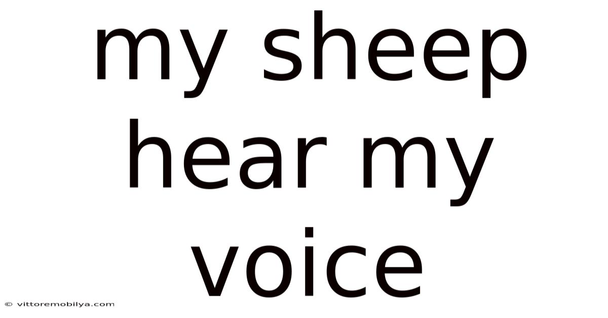 My Sheep Hear My Voice