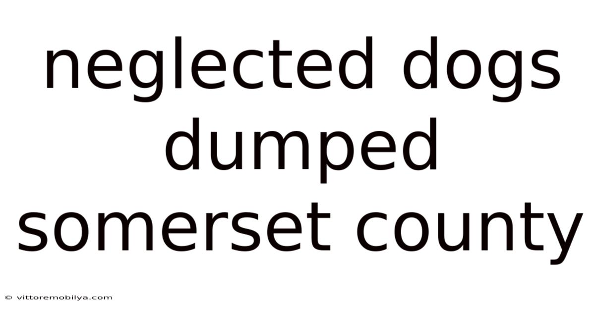 Neglected Dogs Dumped Somerset County