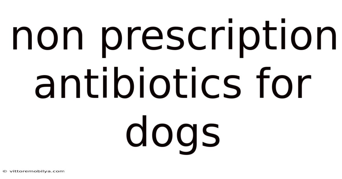 Non Prescription Antibiotics For Dogs