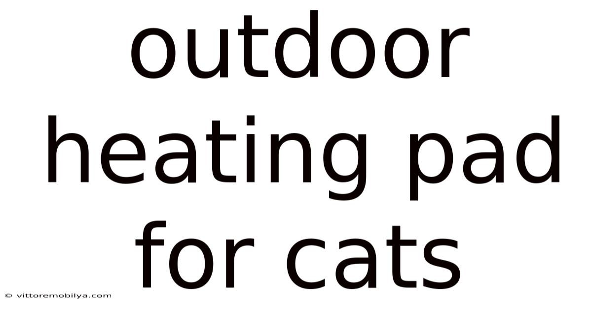 Outdoor Heating Pad For Cats