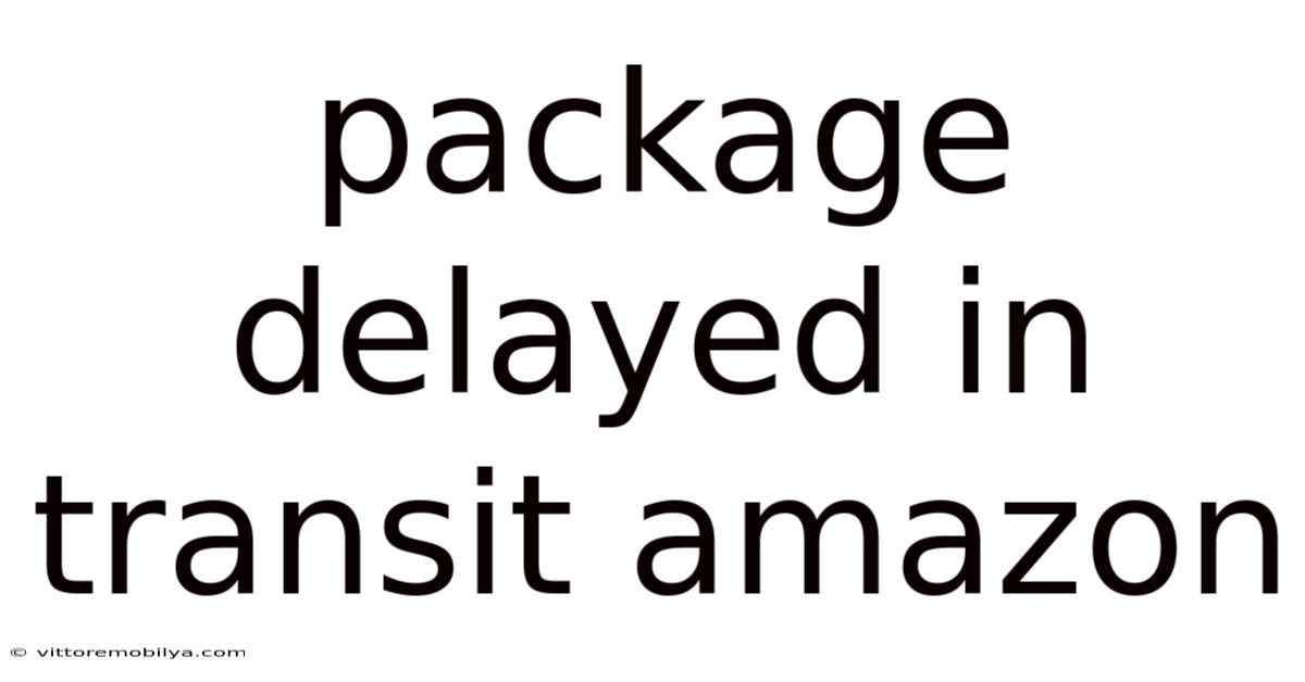 Package Delayed In Transit Amazon