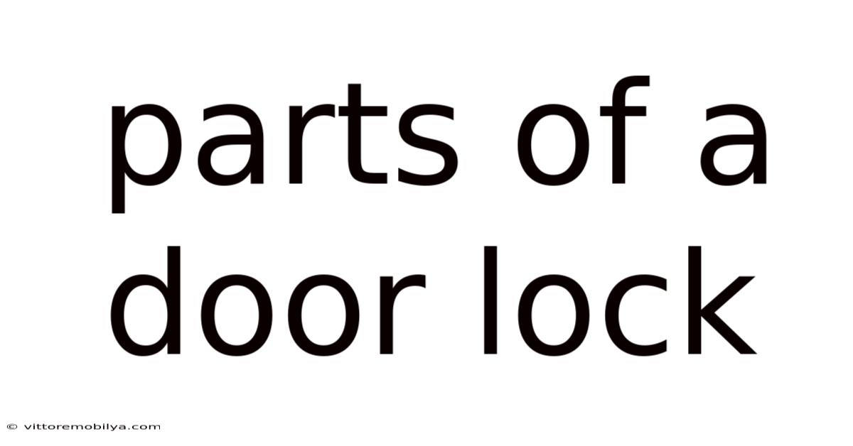Parts Of A Door Lock