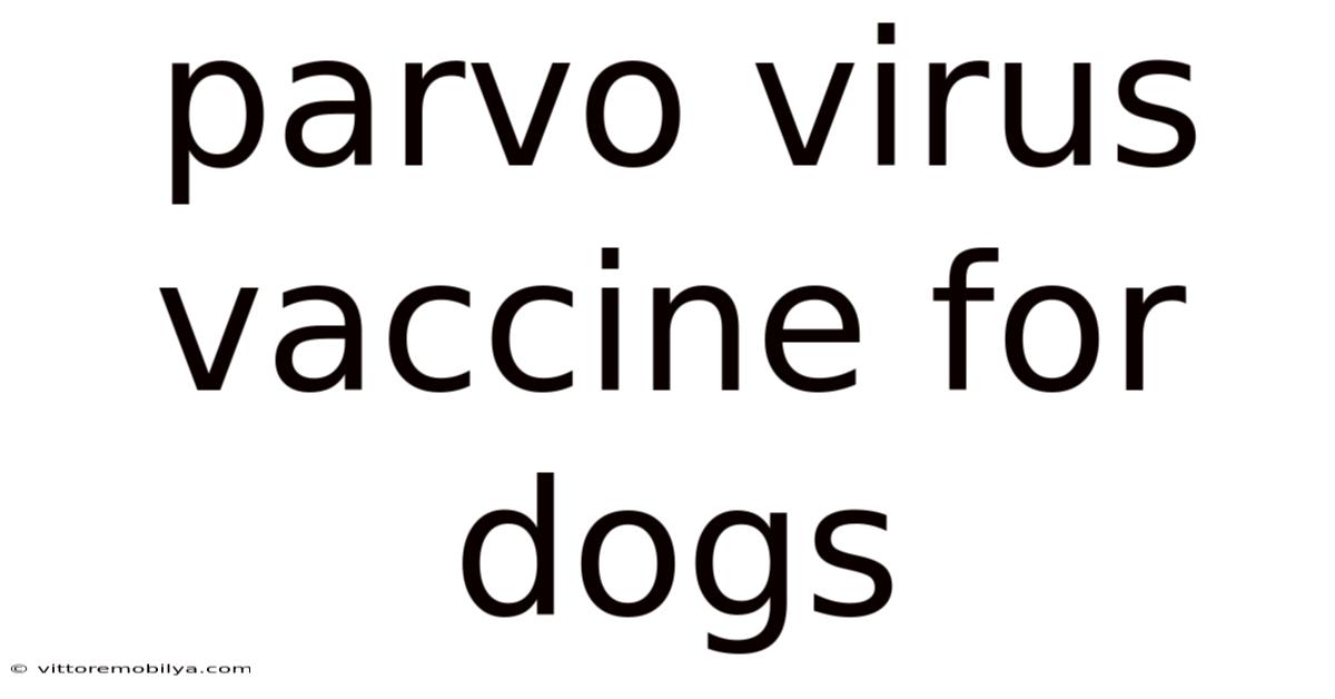 Parvo Virus Vaccine For Dogs