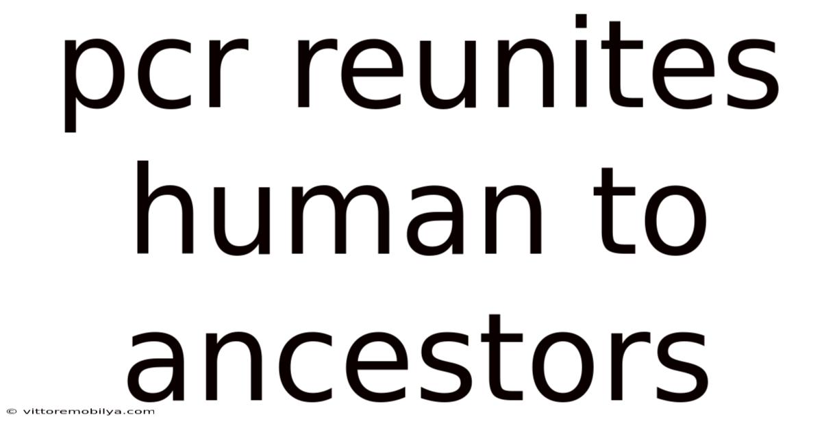 Pcr Reunites Human To Ancestors