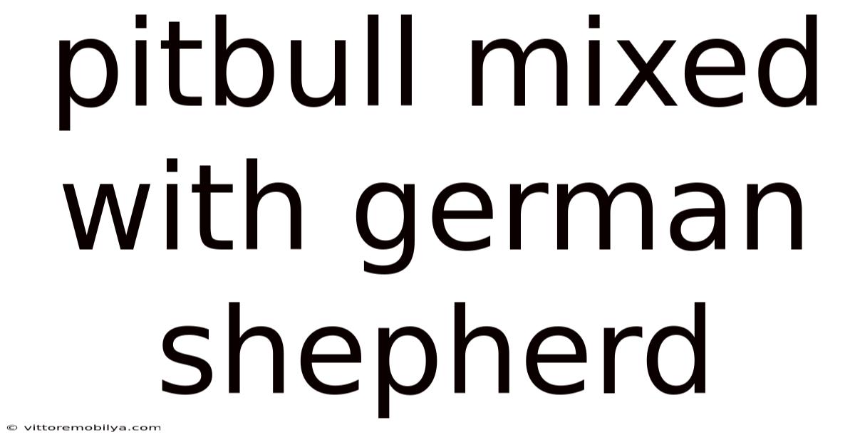Pitbull Mixed With German Shepherd