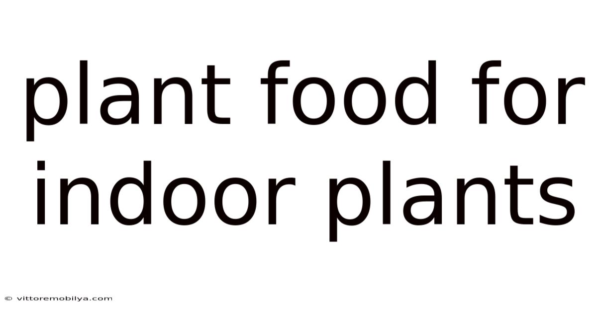 Plant Food For Indoor Plants