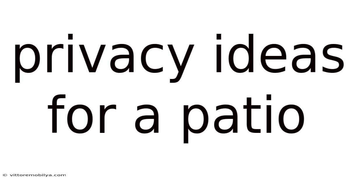 Privacy Ideas For A Patio