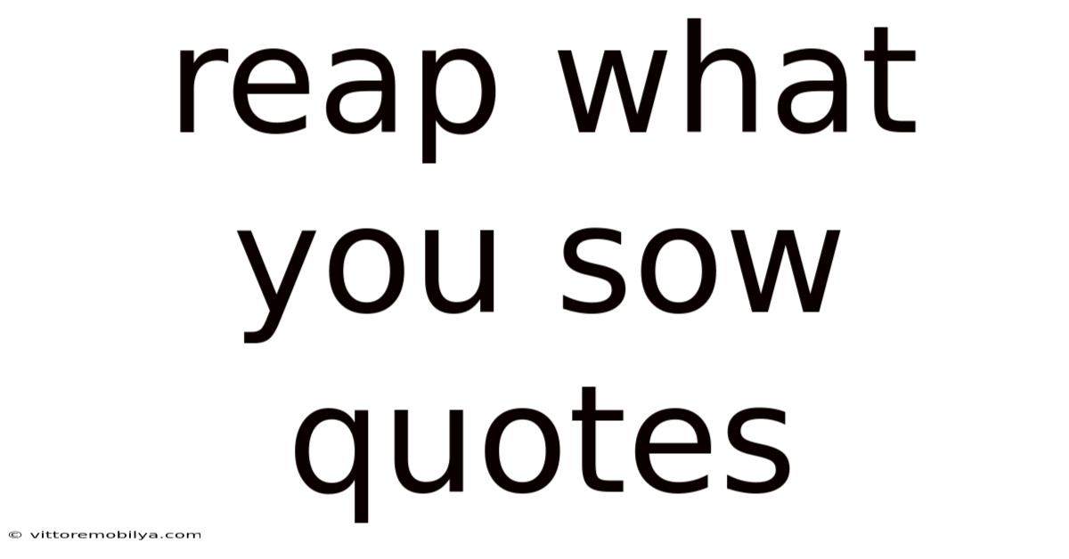 Reap What You Sow Quotes
