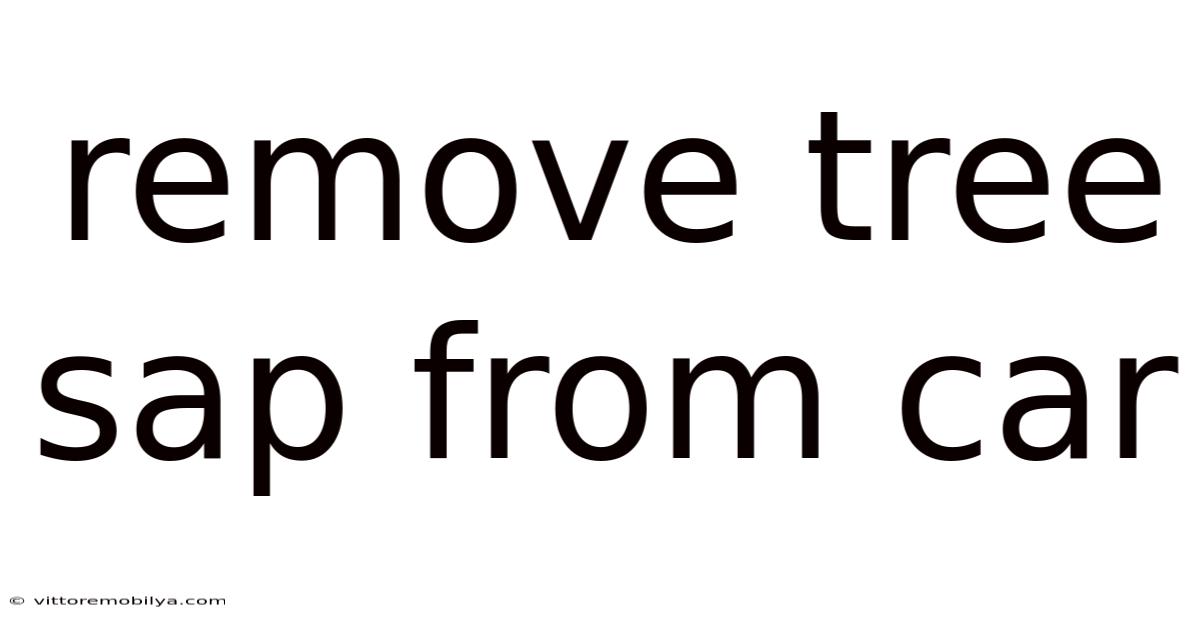 Remove Tree Sap From Car