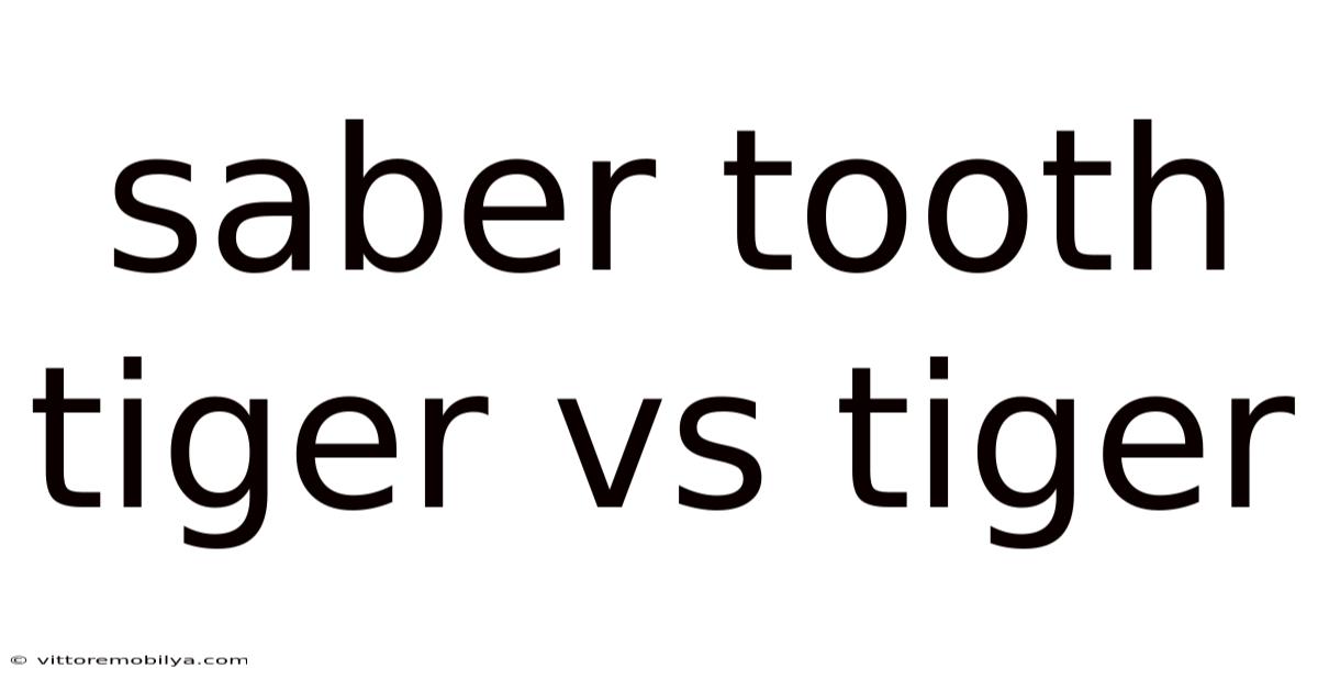 Saber Tooth Tiger Vs Tiger