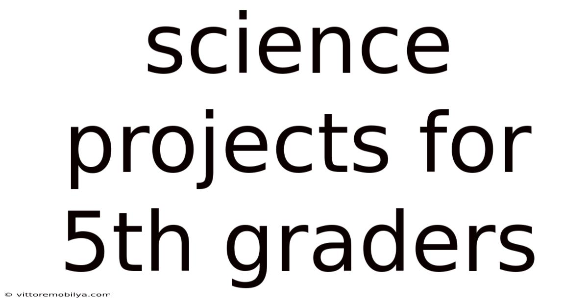 Science Projects For 5th Graders