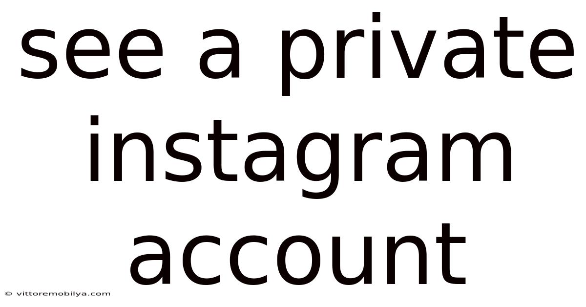 See A Private Instagram Account