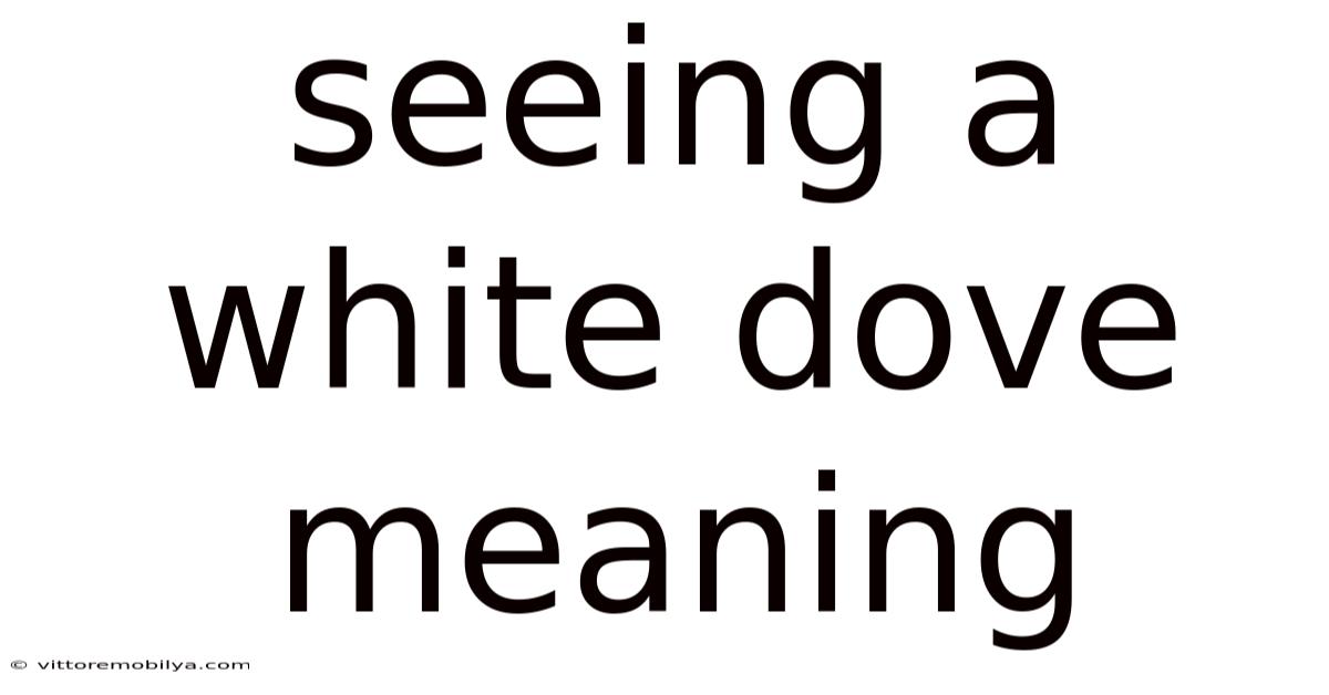 Seeing A White Dove Meaning