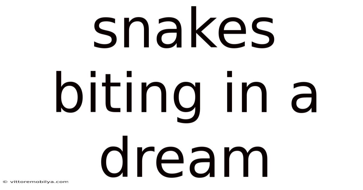 Snakes Biting In A Dream