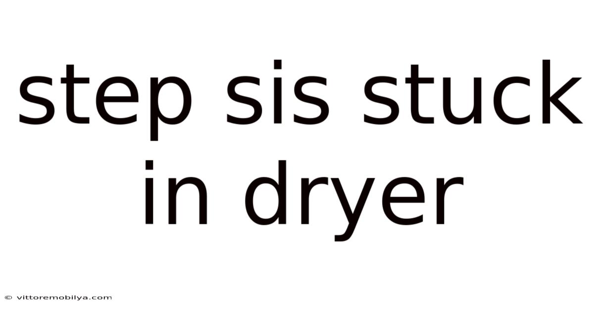 Step Sis Stuck In Dryer