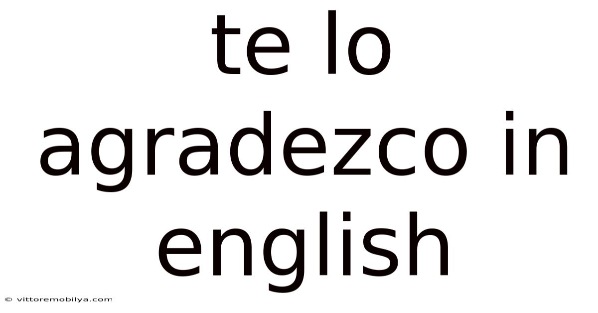 Te Lo Agradezco In English