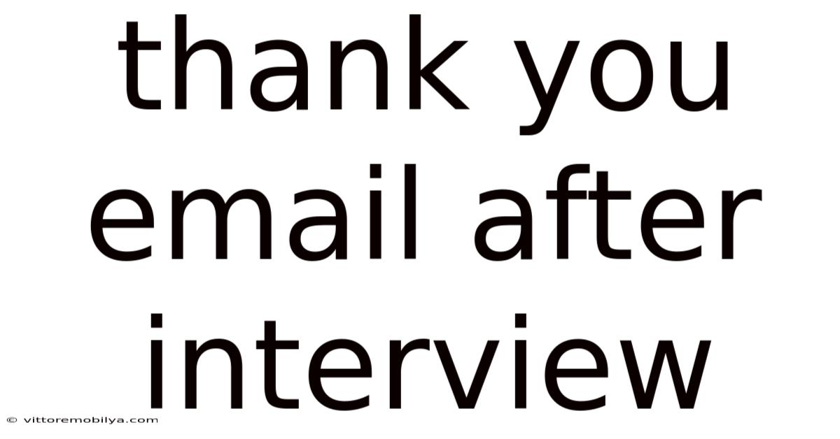 Thank You Email After Interview