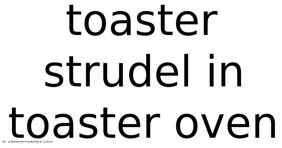 Toaster Strudel In Toaster Oven