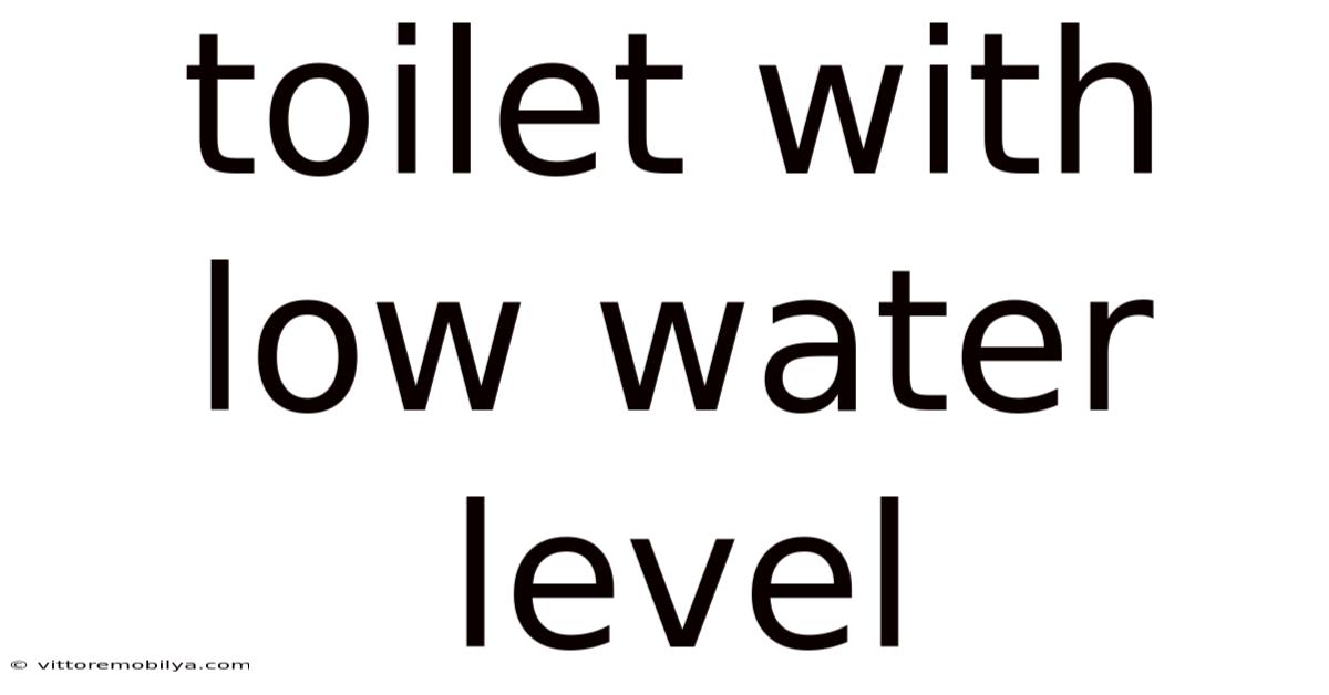 Toilet With Low Water Level