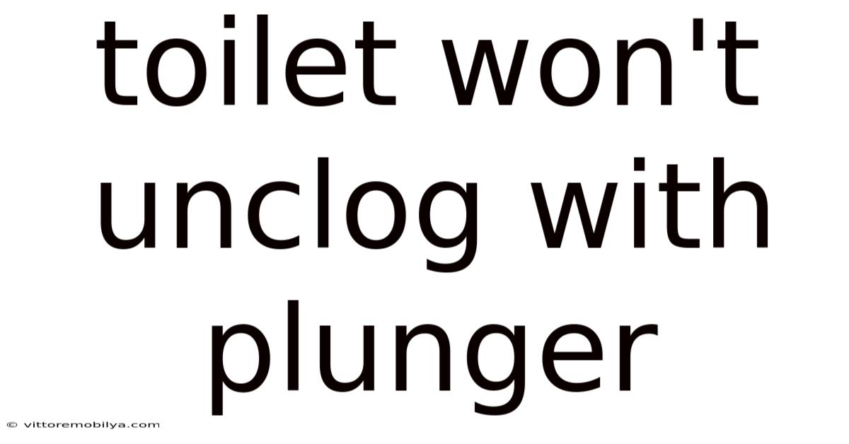 Toilet Won't Unclog With Plunger