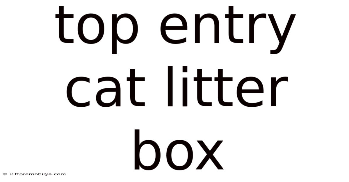 Top Entry Cat Litter Box