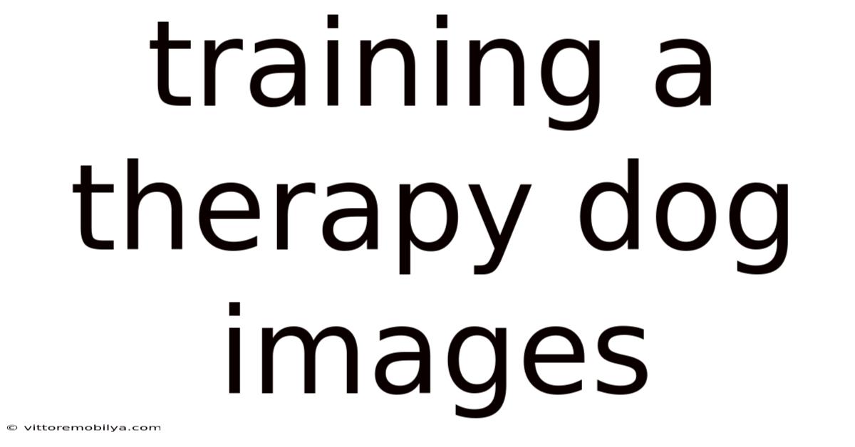 Training A Therapy Dog Images