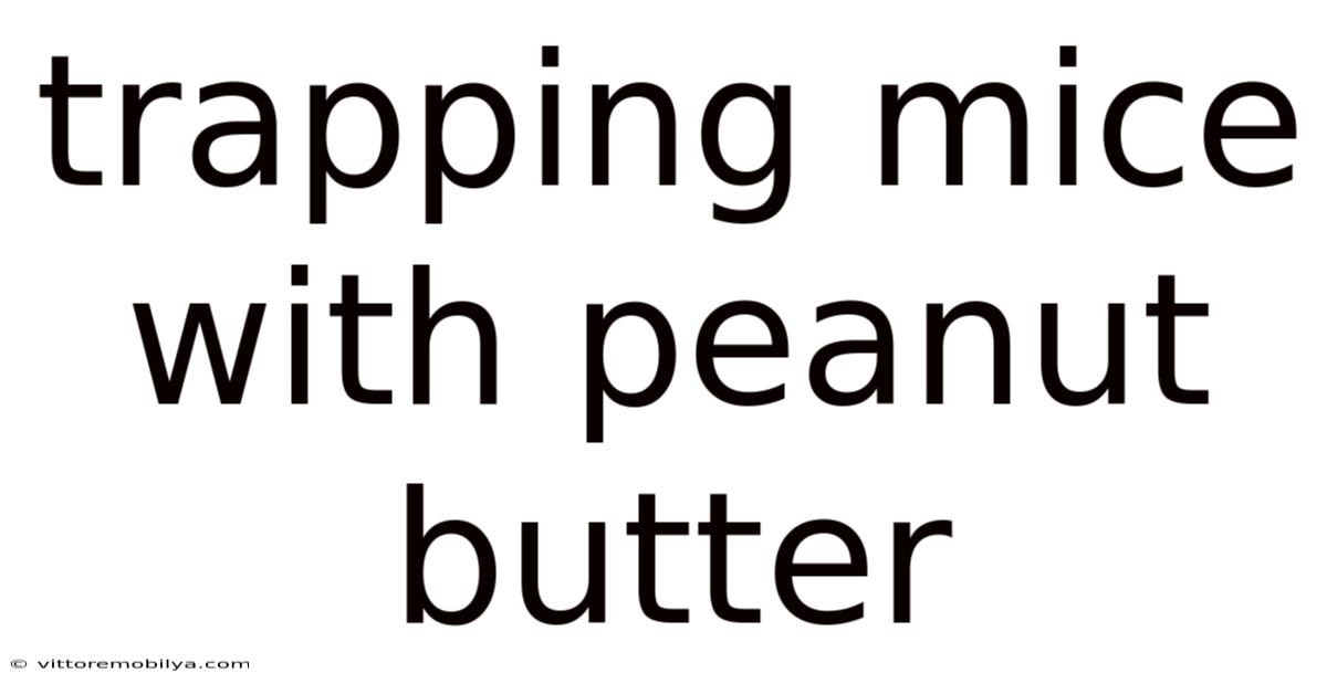 Trapping Mice With Peanut Butter