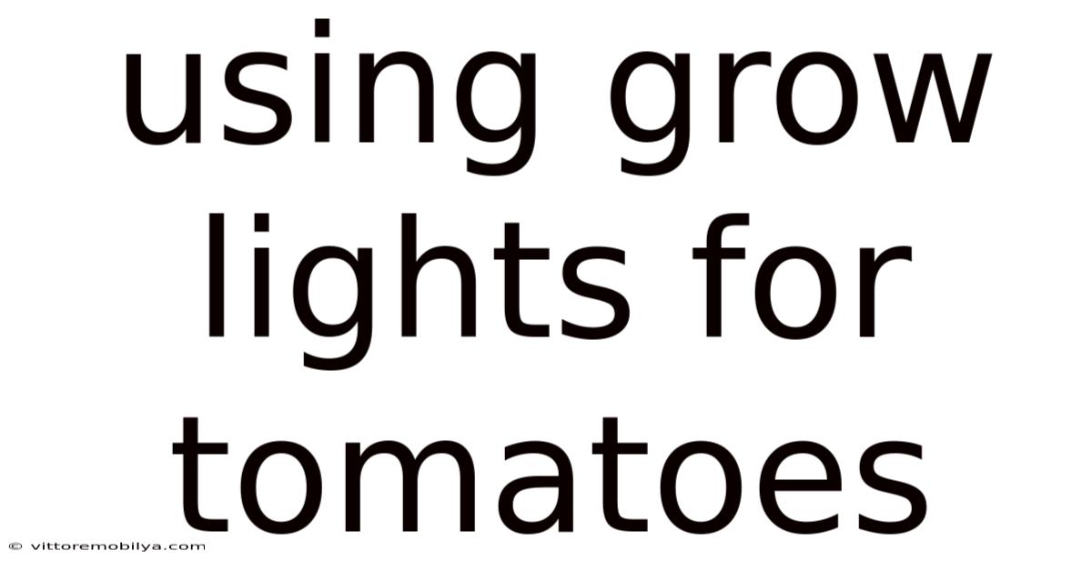 Using Grow Lights For Tomatoes