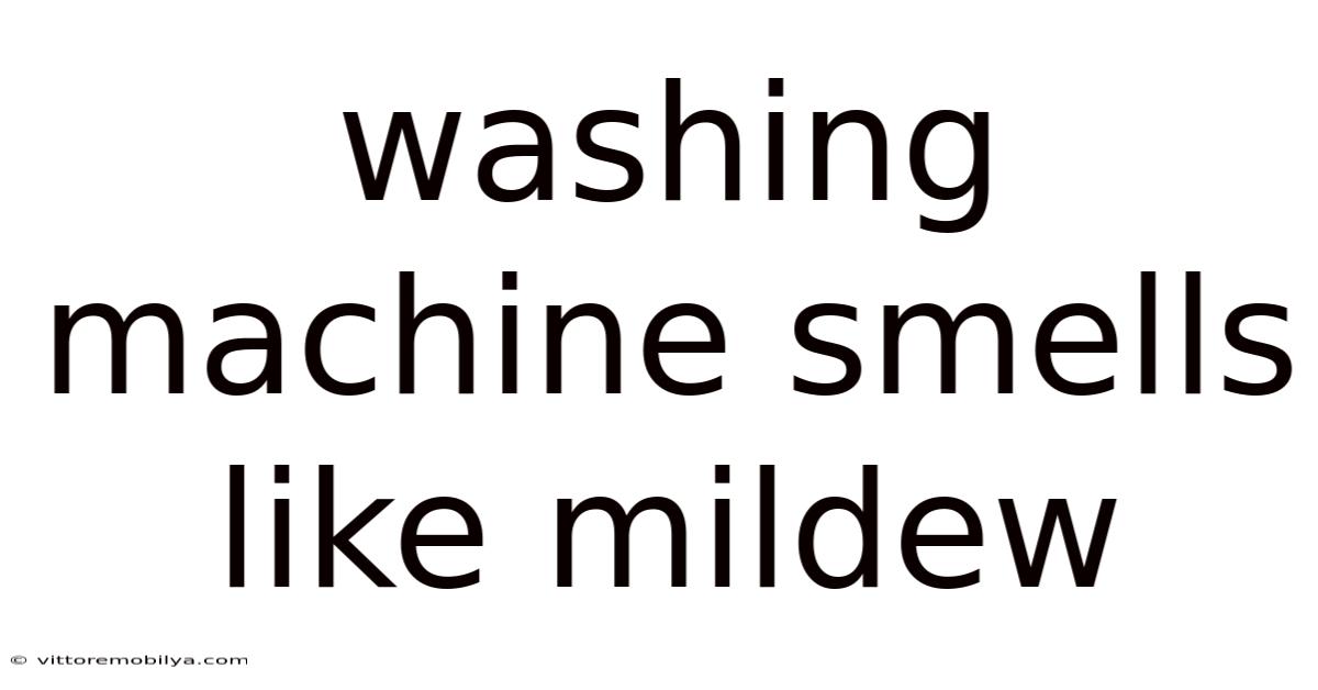 Washing Machine Smells Like Mildew