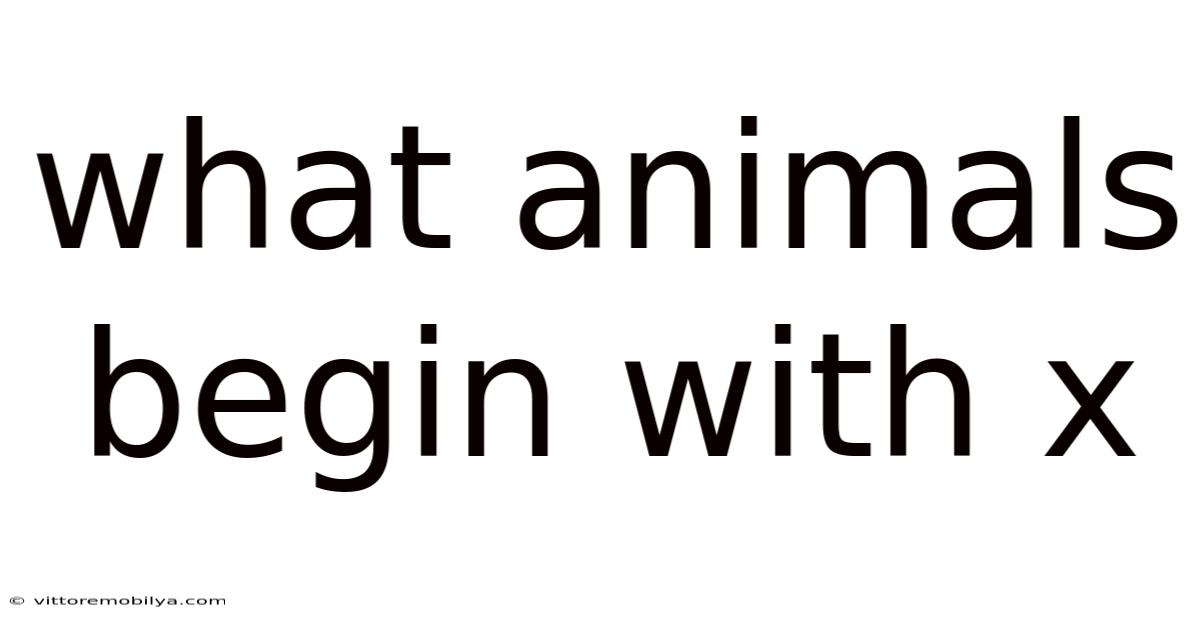 What Animals Begin With X