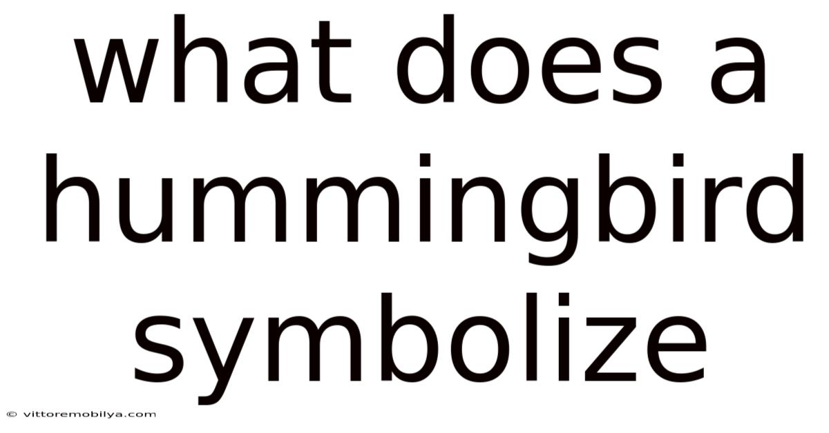 What Does A Hummingbird Symbolize