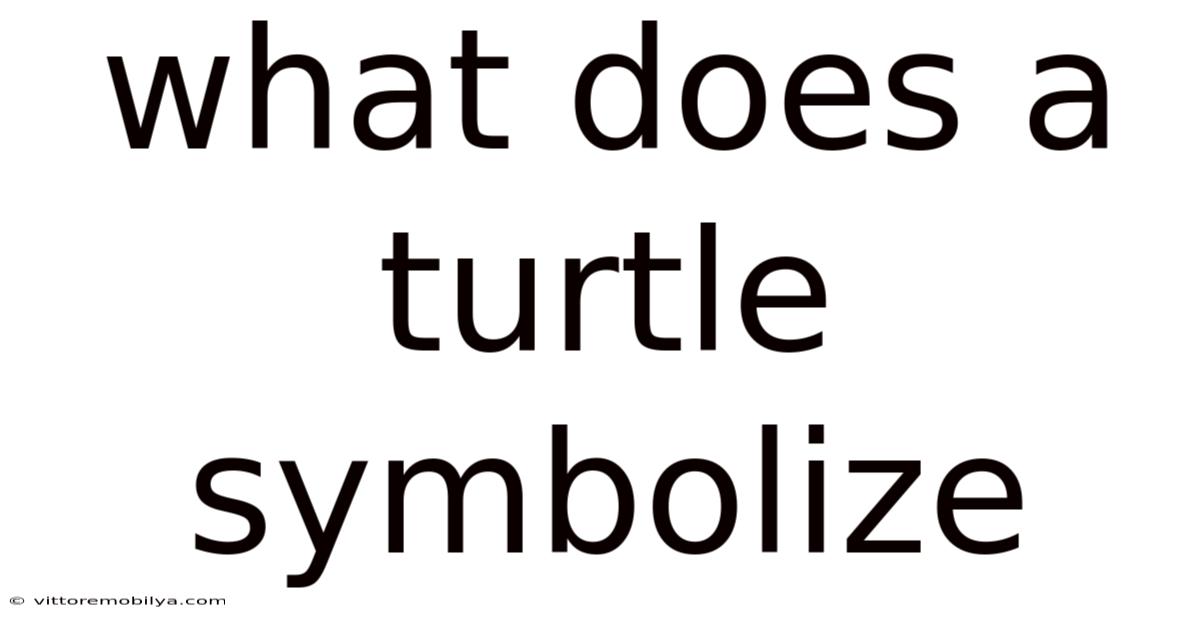 What Does A Turtle Symbolize