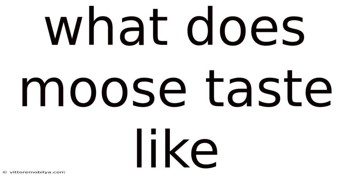 What Does Moose Taste Like