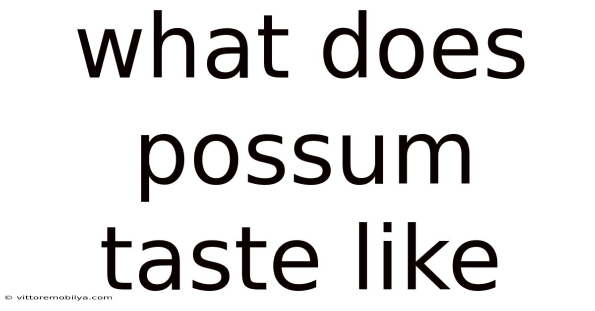 What Does Possum Taste Like
