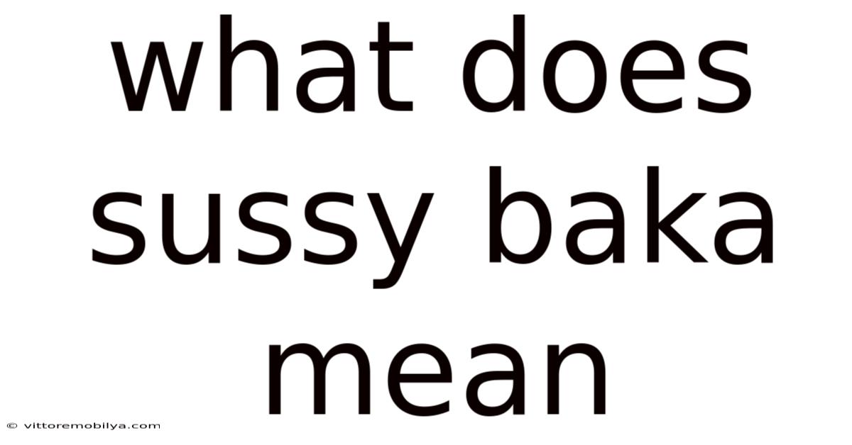 What Does Sussy Baka Mean