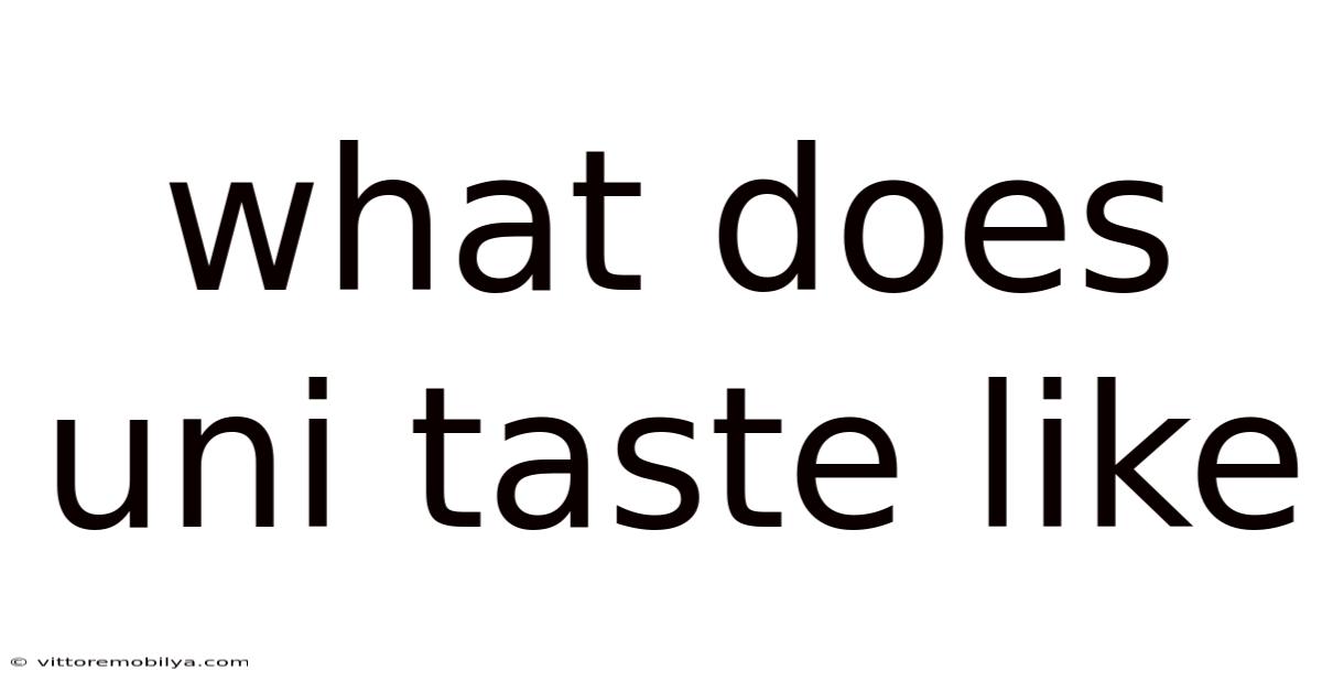 What Does Uni Taste Like